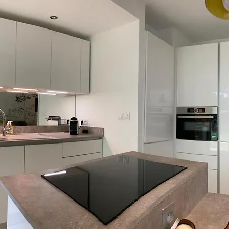 Apartment Superbe Avec Jardin Saint Charles *